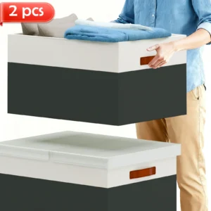 2-Pack Storage Box Bins with Lid Handles 70L Foldable Clothes Organization Dustproof 22"x16"x12" for Home Living Bedroom Closet